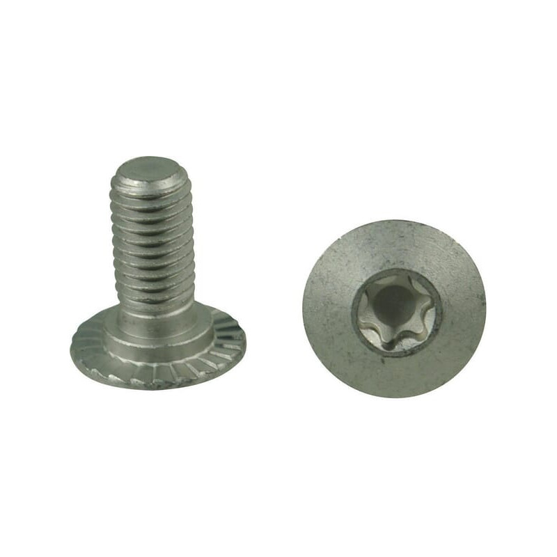 Trioliet śruba Torx M10x23 10,9 84925 Trioliet-Mullos 8716106984985