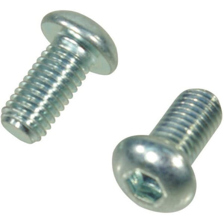 Trioliet śruba z łbem soczewkowym M10x16 mm 84822 Trioliet-Mullos 3046-84822