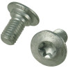 Trioliet śruba Torx M10x19 84926 Trioliet-Mullos 3046-84926