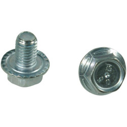 Trioliet śruba kołnierzowa M8x12 mm 83913 Trioliet-Mullos 3046-83913