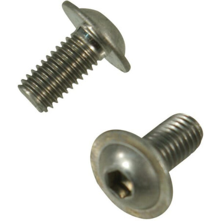 Trioliet śruba z łbem soczewkowym V2A M8x16 mm 83938 Trioliet-Mullos 3046-83938