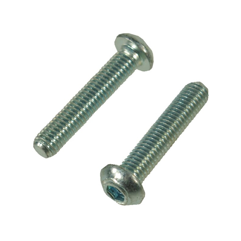 Trioliet śruba z łbem soczewkowym M8x40 mm kl. 10.2 84814 Trioliet-Mullos 3046-84814