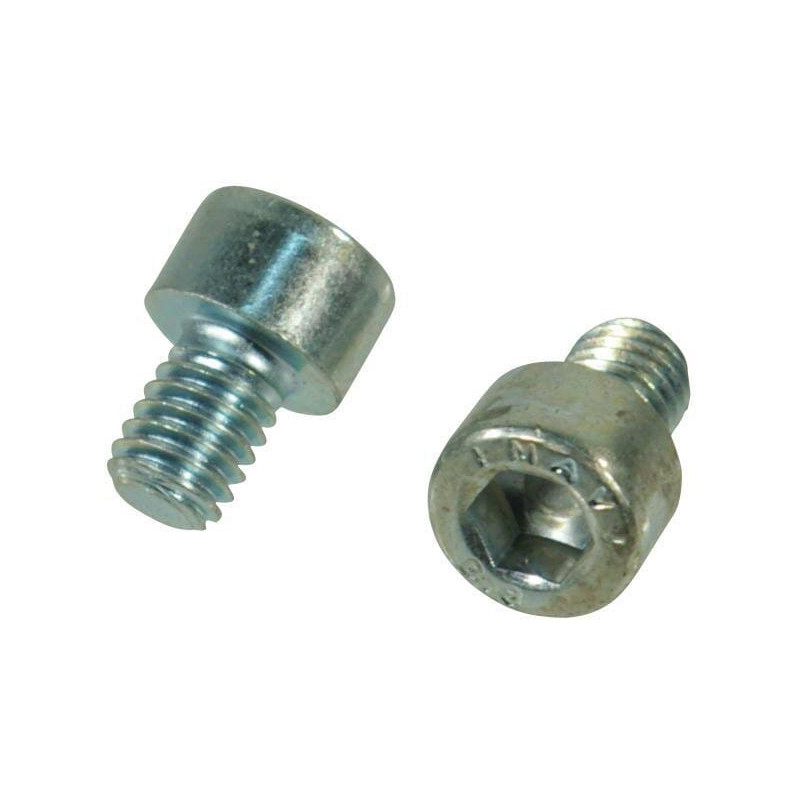 Trioliet śruba imbusowa M6x8 mm 84407 Trioliet-Mullos 3046-84407