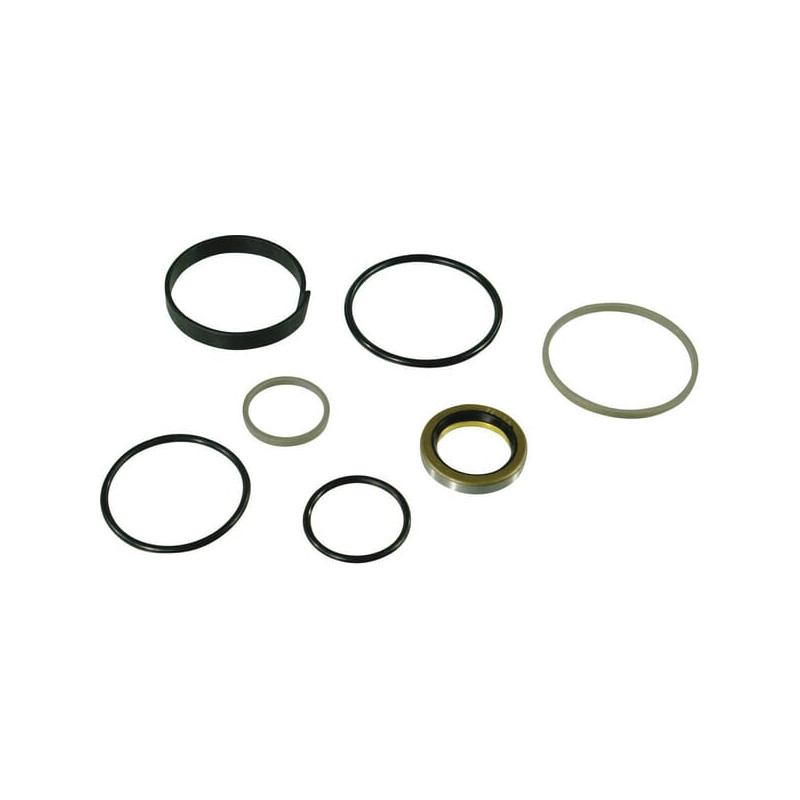 Trioliet zestaw uszczelnień siłownika mechanizmu tnącego 05001 Trioliet-Mullos 8716106983896