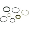 Trioliet zestaw uszczelnień siłownika mechanizmu tnącego 05001 Trioliet-Mullos 8716106983896