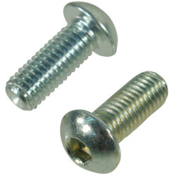 Trioliet śruba z łbem soczewkowym M10x25 mm 84801 Trioliet-Mullos 8716024156990
