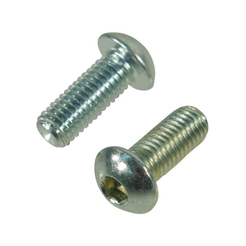 Trioliet śruba z łbem soczewkowym M10x25 mm 84801 Trioliet-Mullos 8716024156990
