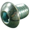 Trioliet śruba z łbem półkulistym M10x12 84816 Trioliet-Mullos 8719607056427