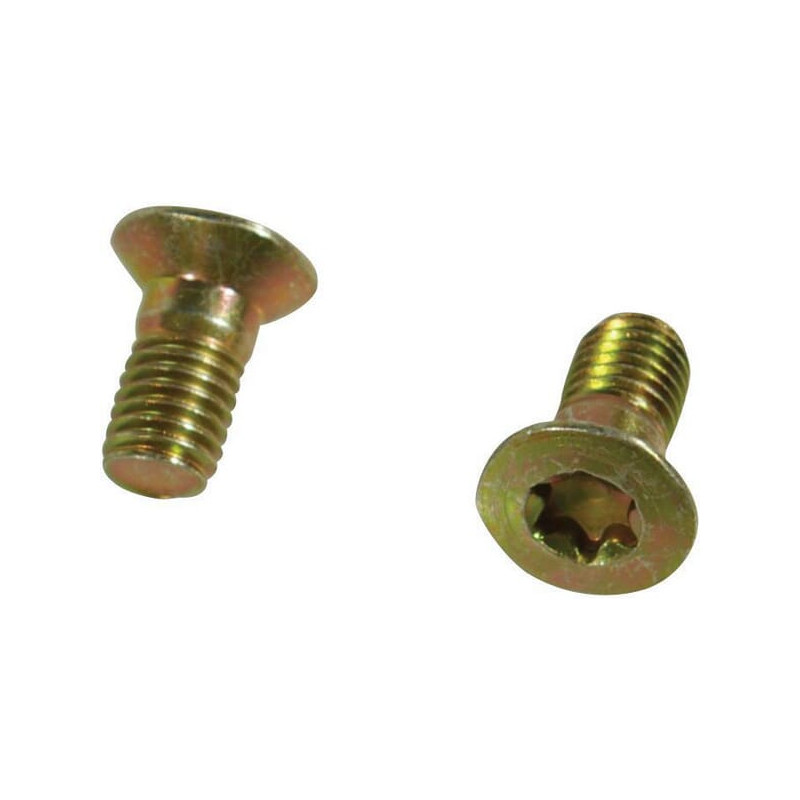 Trioliet śruba Torx M10x20 mm 84912 Trioliet-Mullos 3046-84912