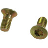 Trioliet śruba Torx M10x20 mm 84912 Trioliet-Mullos 3046-84912