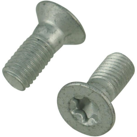 Trioliet śruba Torx M10x25 84913 Trioliet-Mullos 3046-84913
