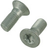 Trioliet śruba Torx M10x25 84913 Trioliet-Mullos 3046-84913