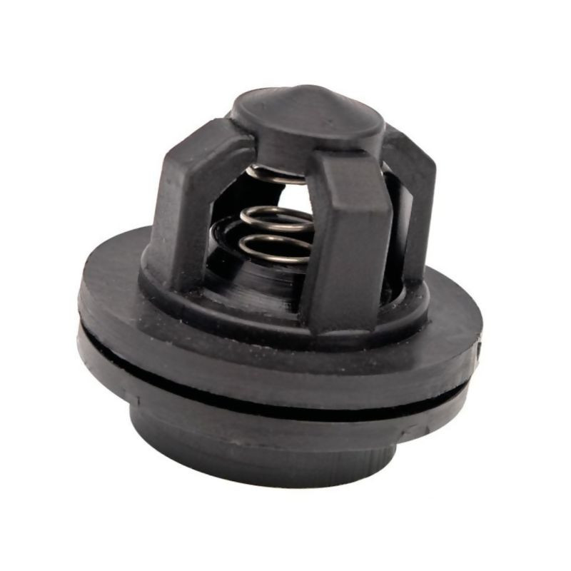 Zawór pompy P120