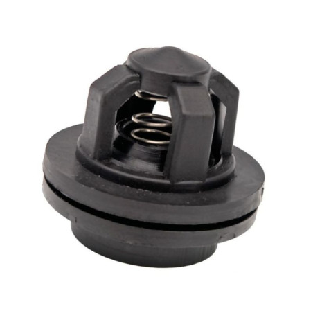 Zawór pompy P120