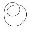 Oring 1610178M5