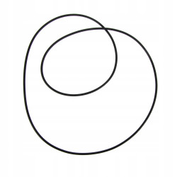 Oring 1610179M5