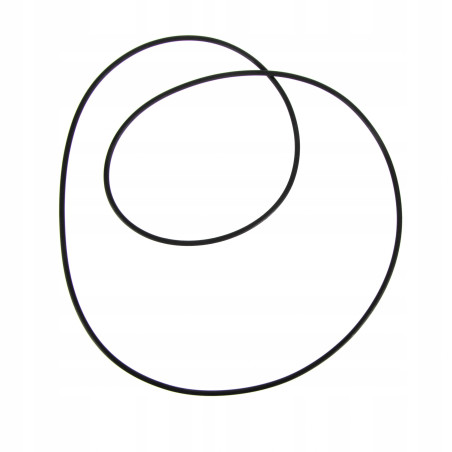 Oring 1610179M5