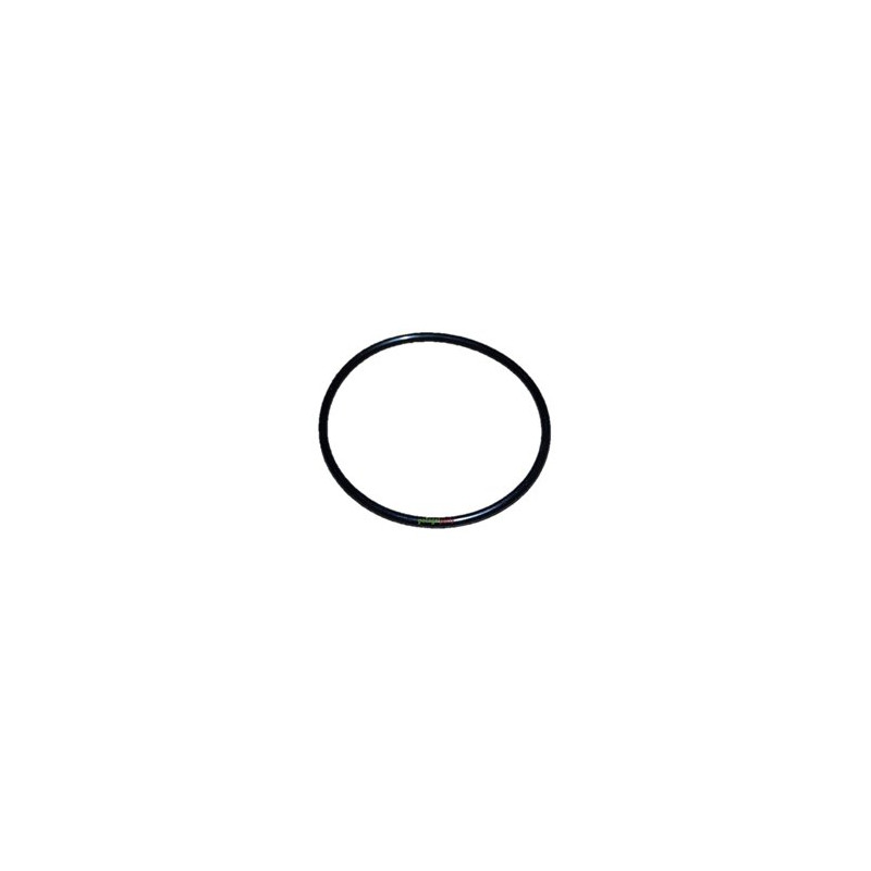 Oring 365801X1