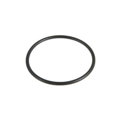 Oring 3019943X1
