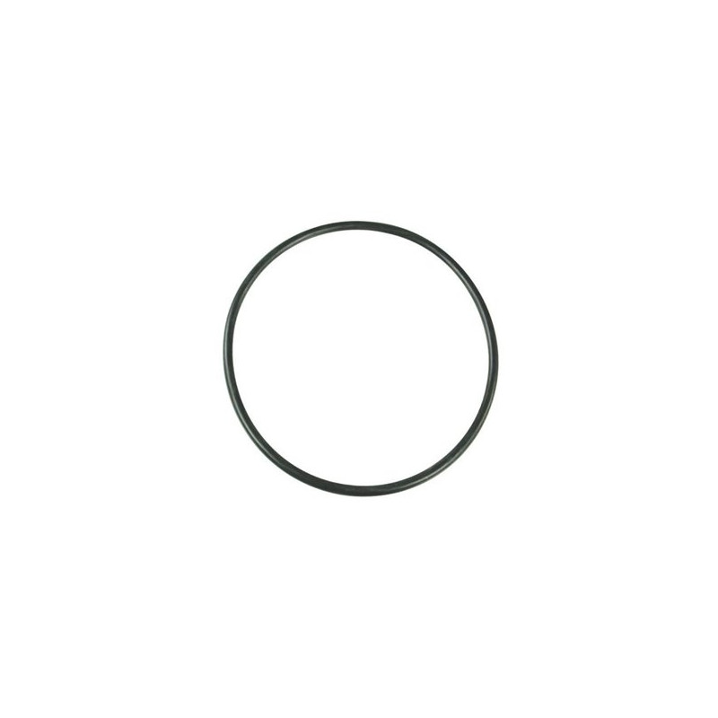 Pierścień uszczelniający o-ring filtra 319 093