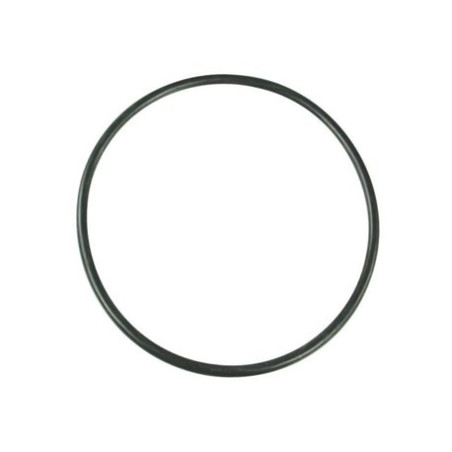 Pierścień uszczelniający o-ring filtra 319 093