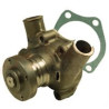 Renault 0123100200 Pompa wody Ergis 2000001655665