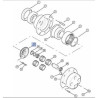 Carraro 125550 Koło zwolnicy Z75 Ergis 2000001649107