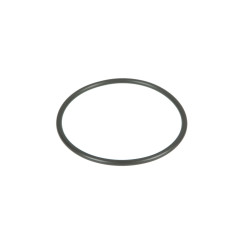 Oring 7700023457