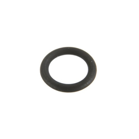 Renault 7700053244 Oring Ergis 2000001653852