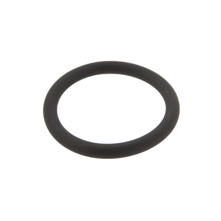 Renault 7700055121 Oring Ergis 2000001653869