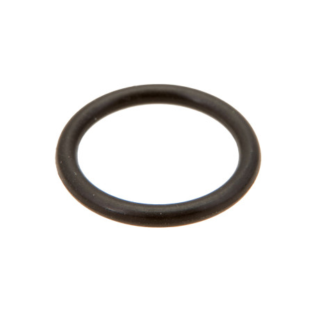 Renault 7700055123 Oring Ergis 2000001653876