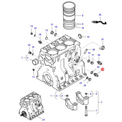 Kruciec spustowy (V836664377)