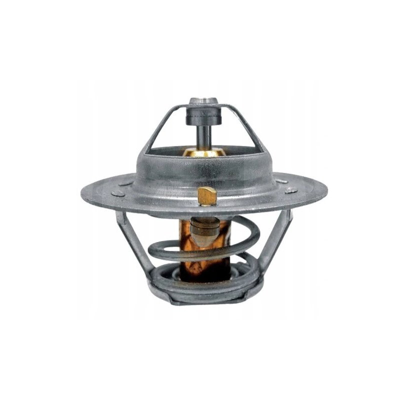 Renault 6005012123 Termostat Ergis 2000001656266