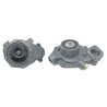 Renault 6005025985 Pompa wody Ergis 2000001655757