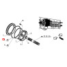 6005018809 Renault / Claas Oring