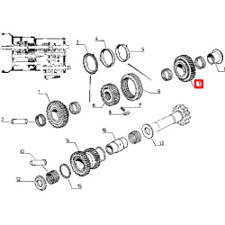 7700021953 Renault Koło zebate