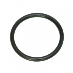 6005028160 Renault / Claas Oring