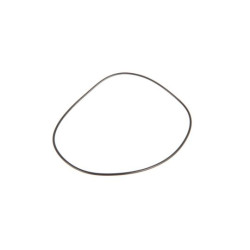 6005018809 Renault / Claas Oring