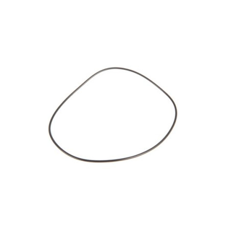 6005018809 Renault / Claas Oring