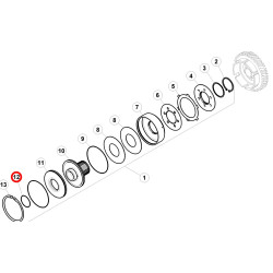 Oring 6005019224