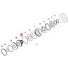 Oring 6005019224, 3384523M1