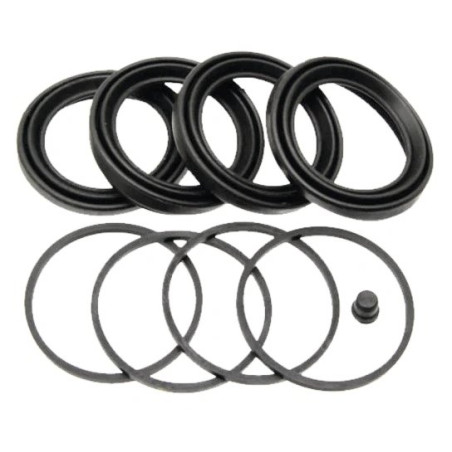 Renault 7701025829 Zestaw naprawczy Ergis 2000001656884