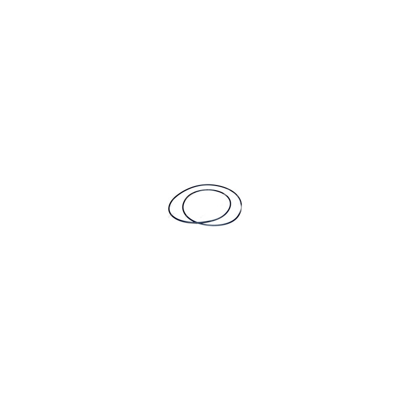 Oring 6005019079