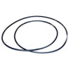Oring 6005019079