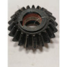 Koło zębate Z21 1-1214-050-102.00