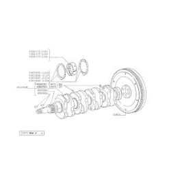 4809524 New Holland Koło zębate wału korbowego