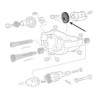 746694M1 Massey Ferguson Koło zębate pompy oleju