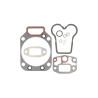 F385202210010 Zestaw uszczelek silnika Fendt Engitech