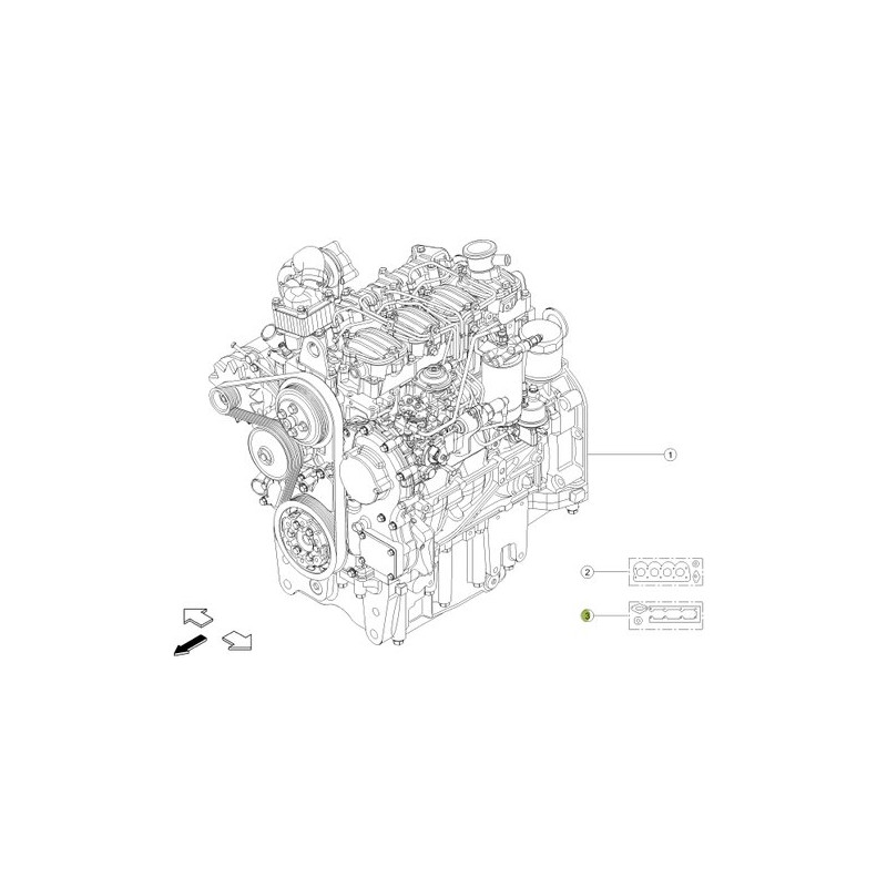 Zestaw uszczelek silnika 0016024890 Claas