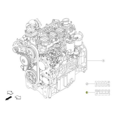 Zestaw uszczelek silnika 0016024890 Claas